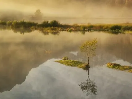 LANI- Filled With Love  String Orchestra Nature Harmony