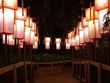 Lanterns Pulse Through The Quiet