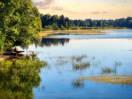 Lapping Waters: A Tranquil Reservoir Escape