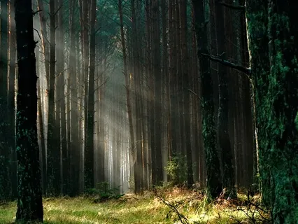 Largo: Concerto In G Major RV 299 (Vivaldi-Bach)