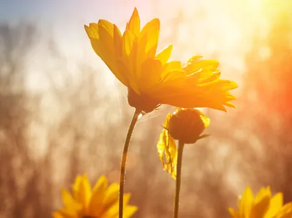 Laskavé procházení těla