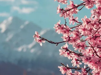 Läsnä hengitykselle 24 min.