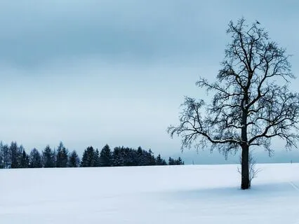 Last Call, Releasing Repressed Emotions | Nostalgic Ambient