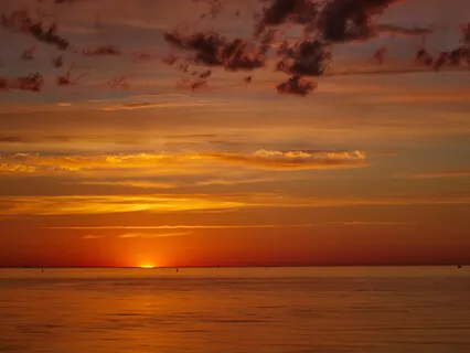 Last Day Contemplation