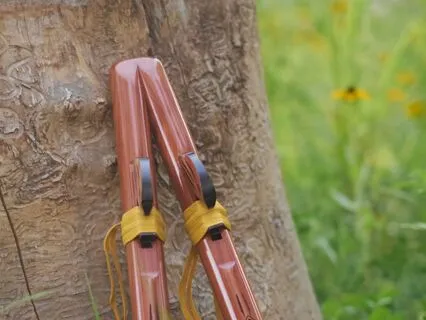 Last Of The Mohicans