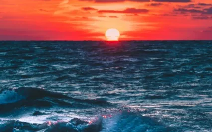 Last Rays Of Sunlight 