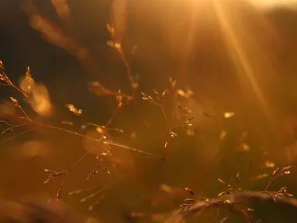 Last Song String Orchestra