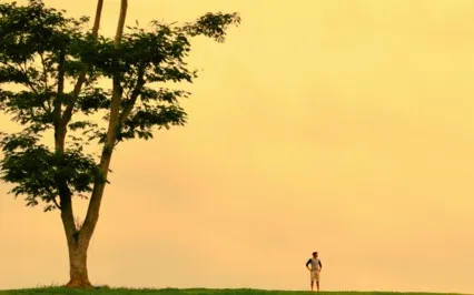 Last Week The Fool, This Week The Sage