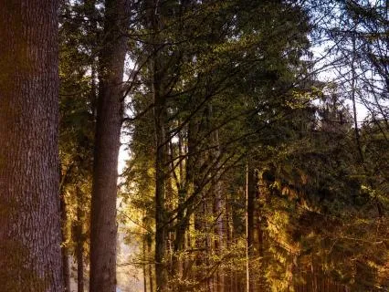 Låta tankarna vara (6 Riktning)