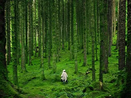 Late Night Elementree Poetree - Spells Of Wonderous Glory