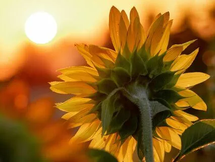 Late Summer Grounding Session