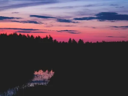 Laughter – Nature’s Sleepy Time Soundtrack