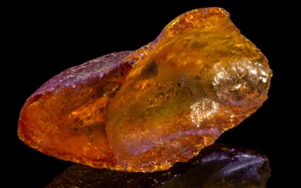 Laughter With Amber For New Paths Of Joy * 432Hz