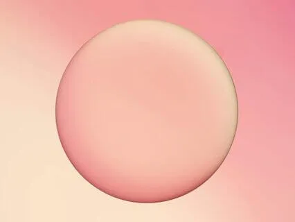 Launching Into Alignment