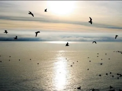 Lave Om: Moving Through Grief