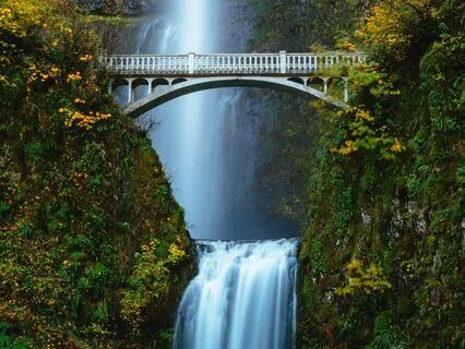 Law Of Attraction | Let Your Heart Be Free