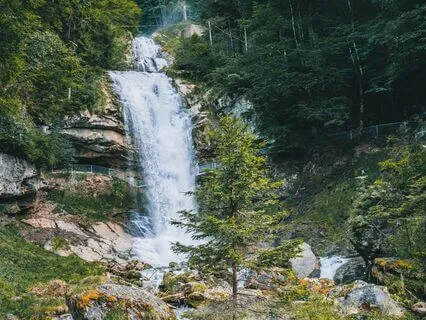 Law Of Attraction, Ambient Frequency, Abundance & Prosperity