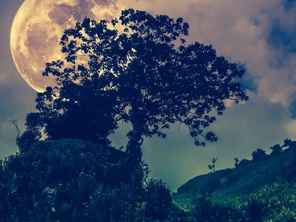 Lay Your Sleeping Head (Poem By Auden)