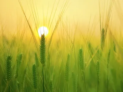 Layers Of Awareness: Body, Mind, Heart, Presence