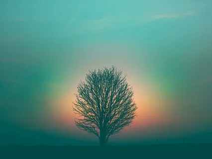 Layers Of Stillness And Awareness Yoga Nidra