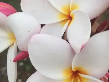 Layers Of The Breath