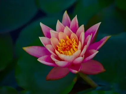 Laying Down Mindful Movement