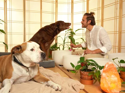 Lazy Day Meditation For Sleepy Days & Relaxing With Pets