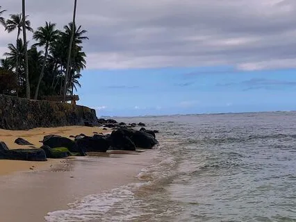 Lazy Waves And Morning Birds At Kaaawa Beach