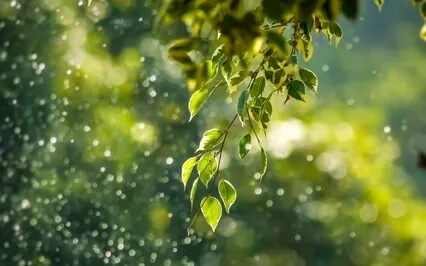 楽にマインドフルネス3