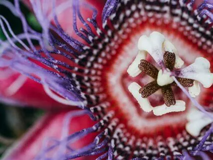 Lead With Heart - Spoken Word