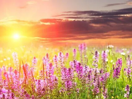 Lead With Light: A Mindset Meditation