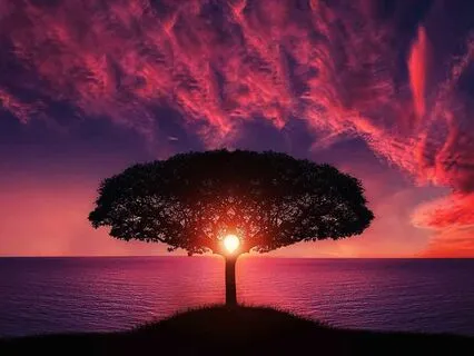 Leadership Tactics For Focused Team Cohesion D1