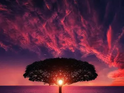 Leadership Tactics For Focused Team Cohesion D10