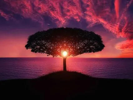 Leadership Tactics For Focused Team Cohesion D2