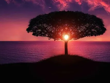 Leadership Tactics For Focused Team Cohesion D3