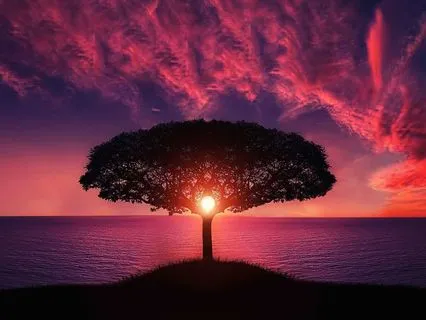 Leadership Tactics For Focused Team Cohesion D4