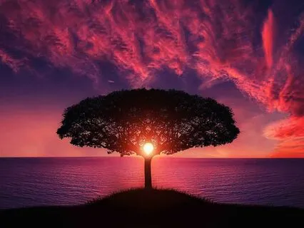 Leadership Tactics For Focused Team Cohesion D5