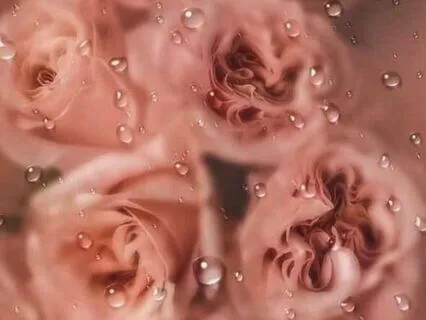 Leading With A Present Heart