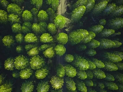 Leading With Meaning