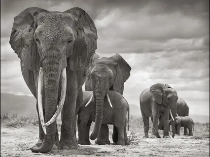 Leading With Purpose