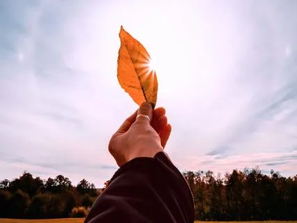 Leading With Your Heart