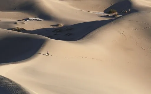 Leading Without Followers - Weekly Energy Boost