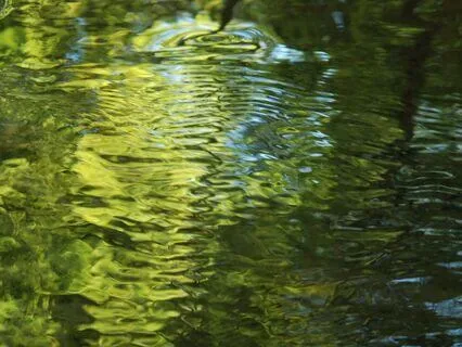 Leaf ll [ Calm River ]