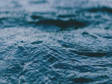 Leaf lll [ Times of Serenity | ]