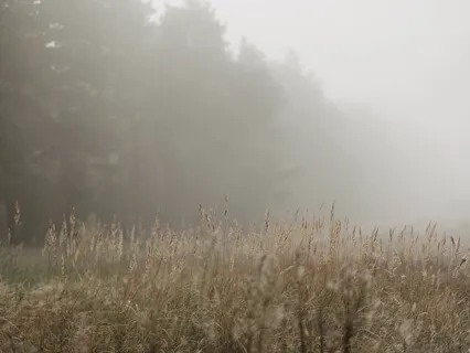 Leaning Back: A Practice For Leaning Back Into Stillness