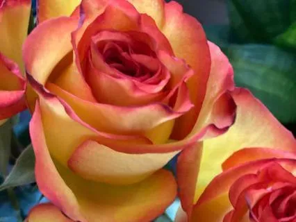 Leaning In To Love: Poetic Meditation