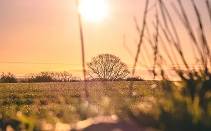 Leaning Into Impermanence 