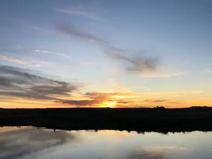 Leaning Into The New Year