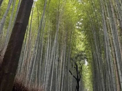 Leaning Into Thoughts