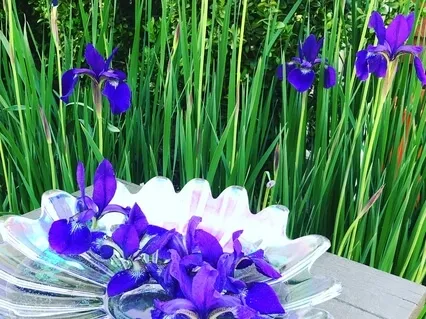 Leap Into Love (Music Only)